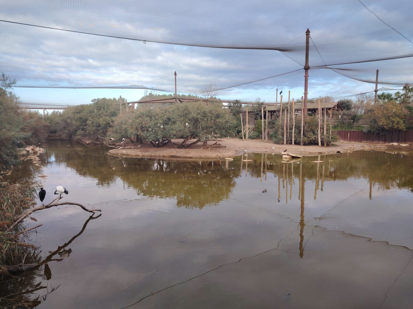 African Aviary (specie list in comment)
