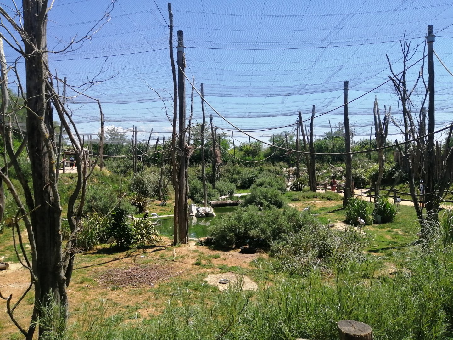 African Aviary (Species list in comment)