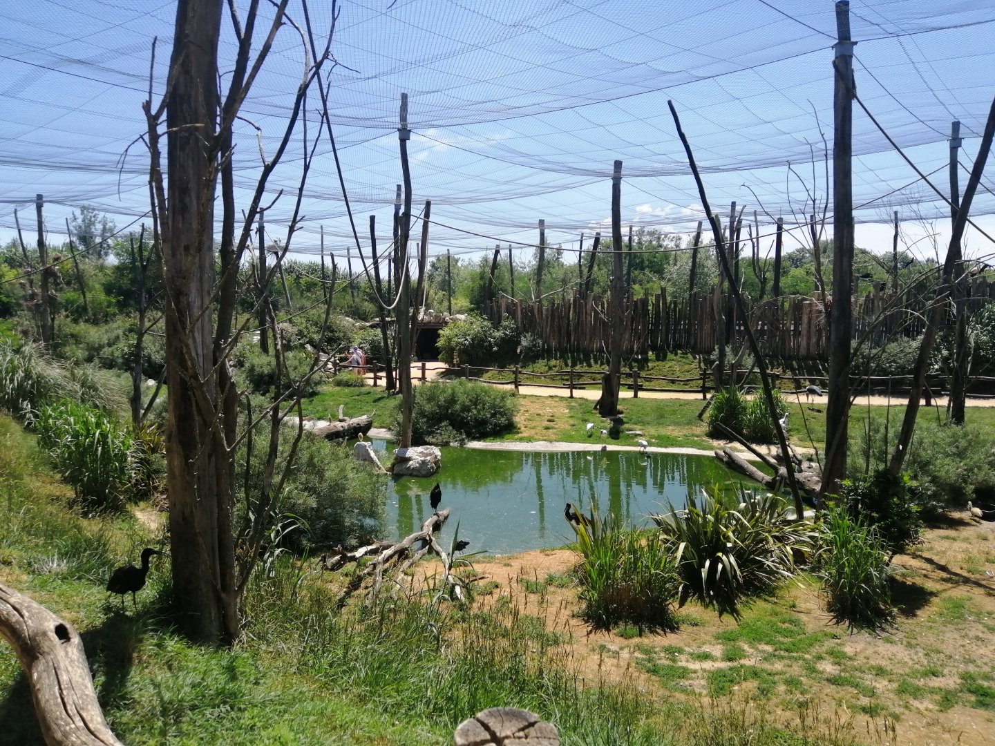African Aviary (Species list in comment)