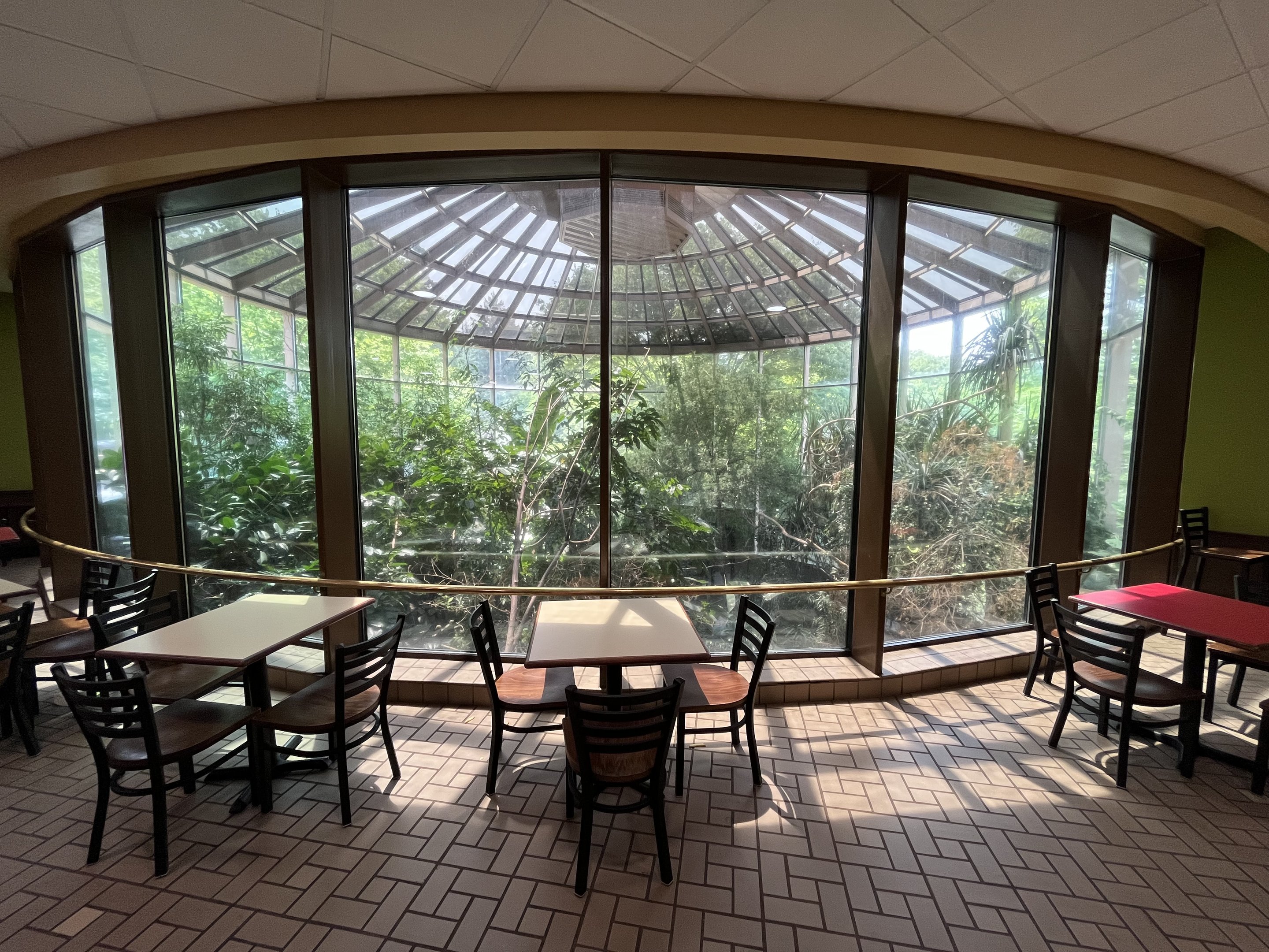 African Aviary - upper level