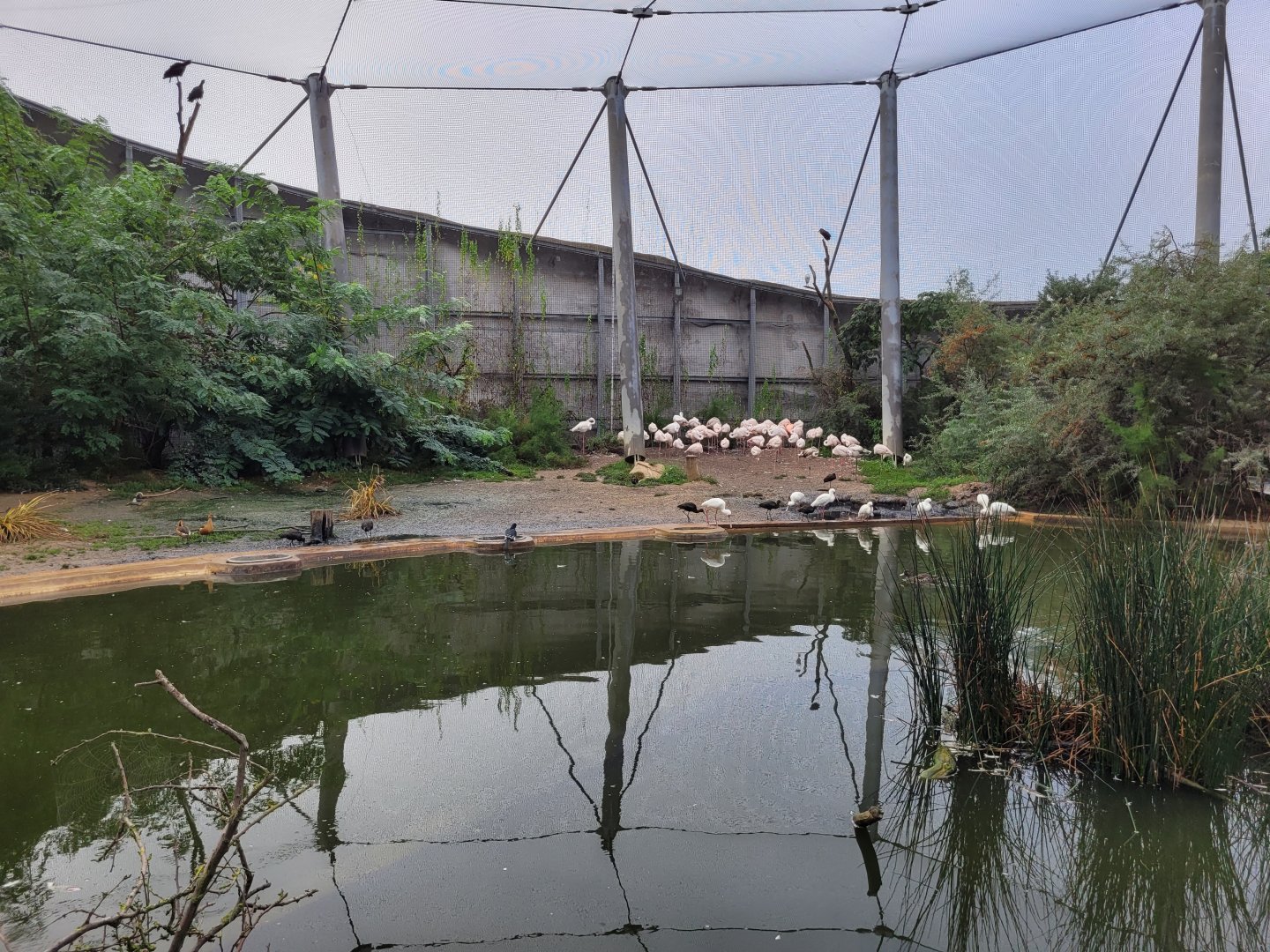 African aviary view -Parc Zoologique de Paris (2022)