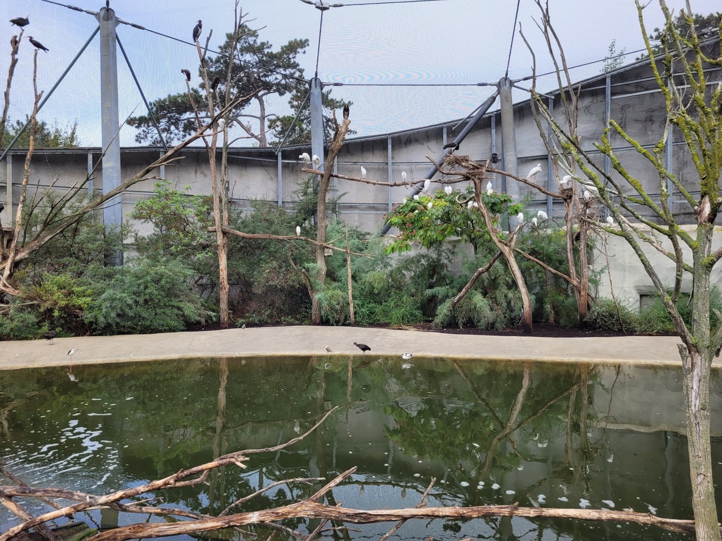 African aviary view -Parc Zoologique de Paris (2022)