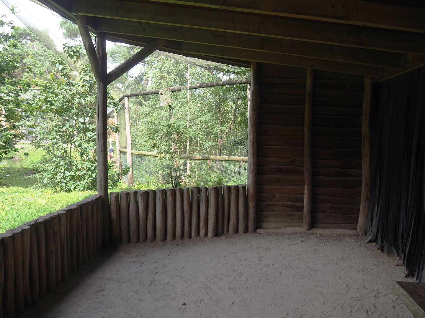 African aviary viewing area, 2023-08-15