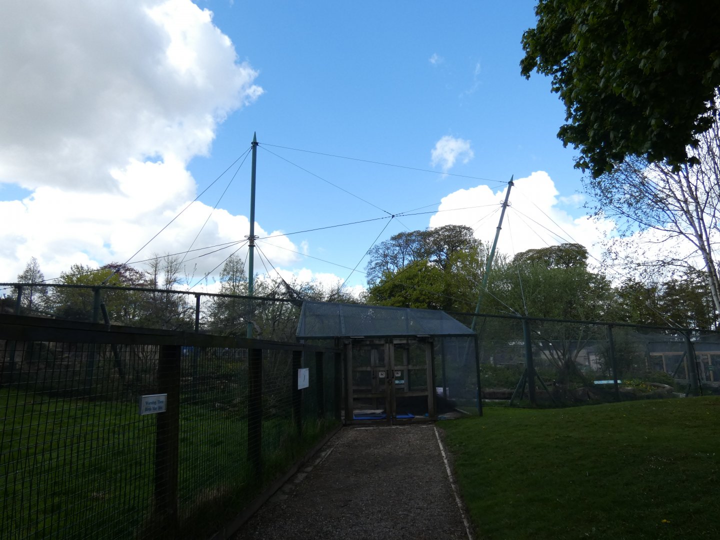 African aviary without netting