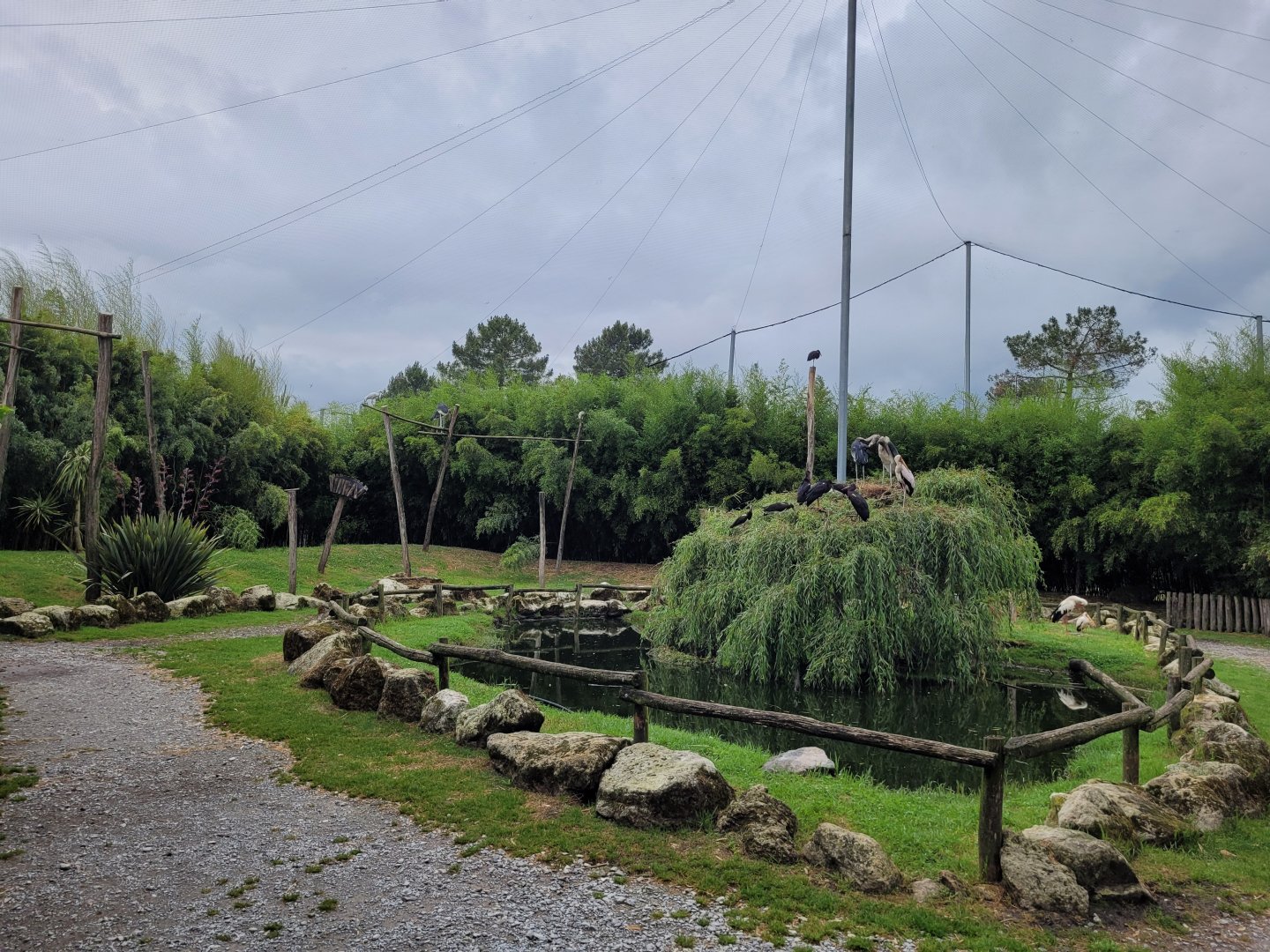 African aviary -Zoo du bassin d'Arcachon (2024)