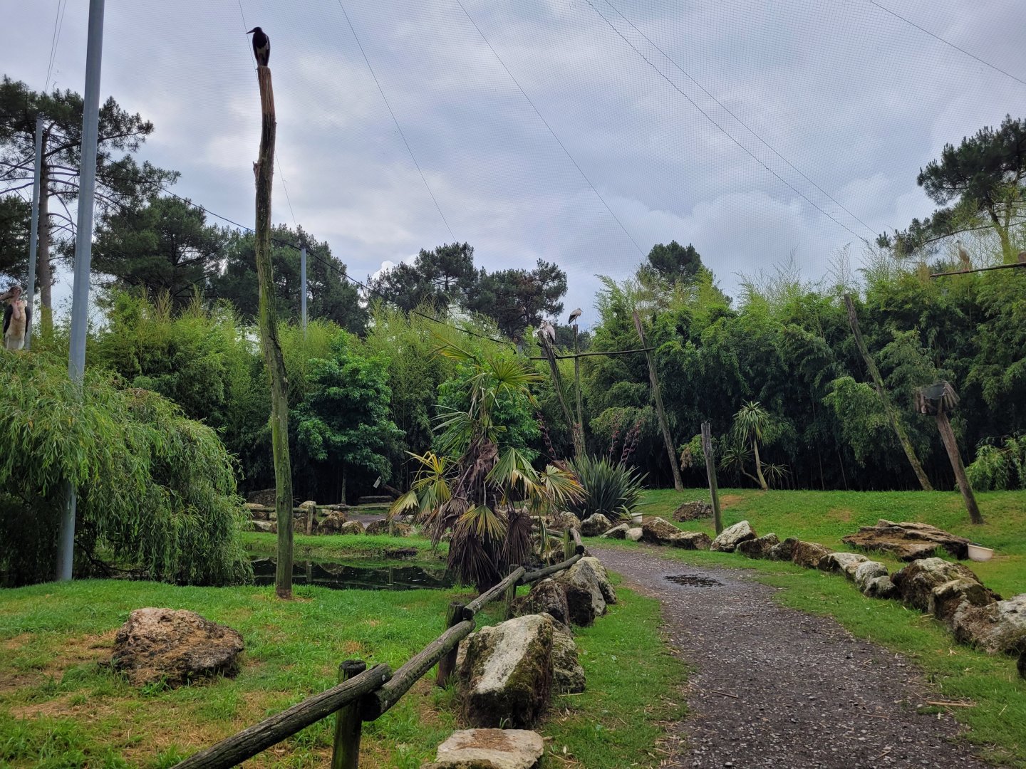 African aviary -Zoo du bassin d'Arcachon (2024)