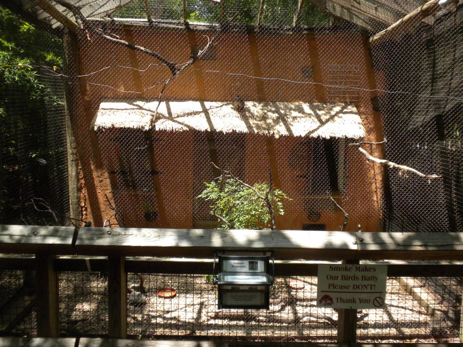 African Aviary