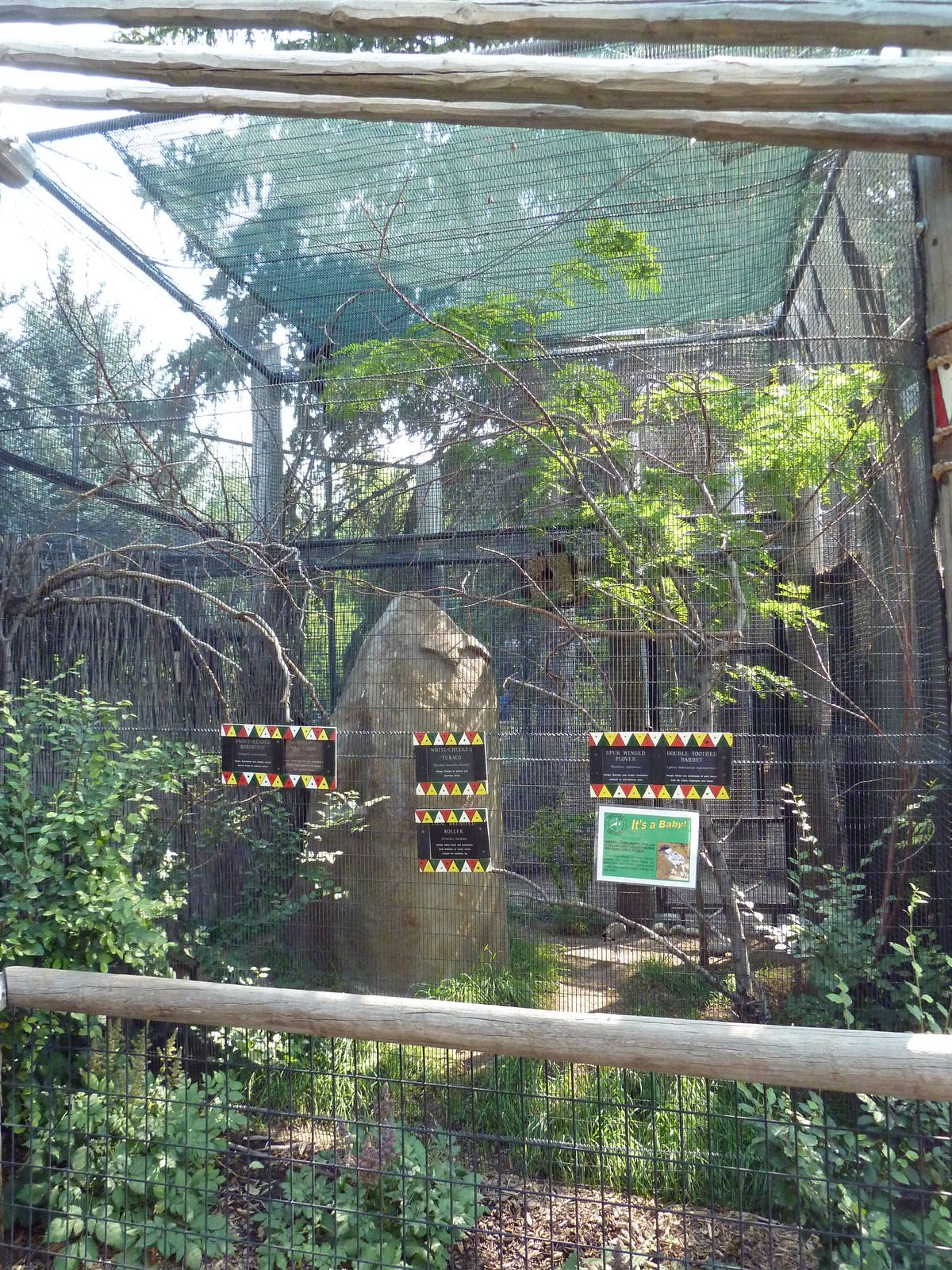 African Aviary