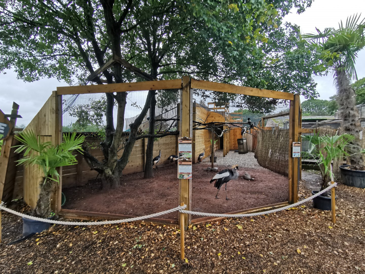 African aviary