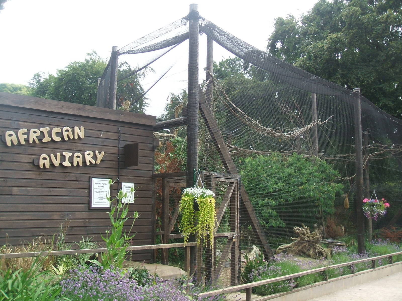 African Aviary