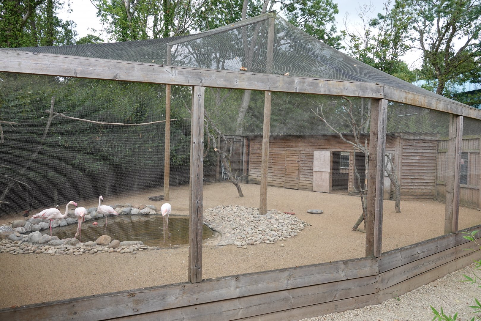 African aviary