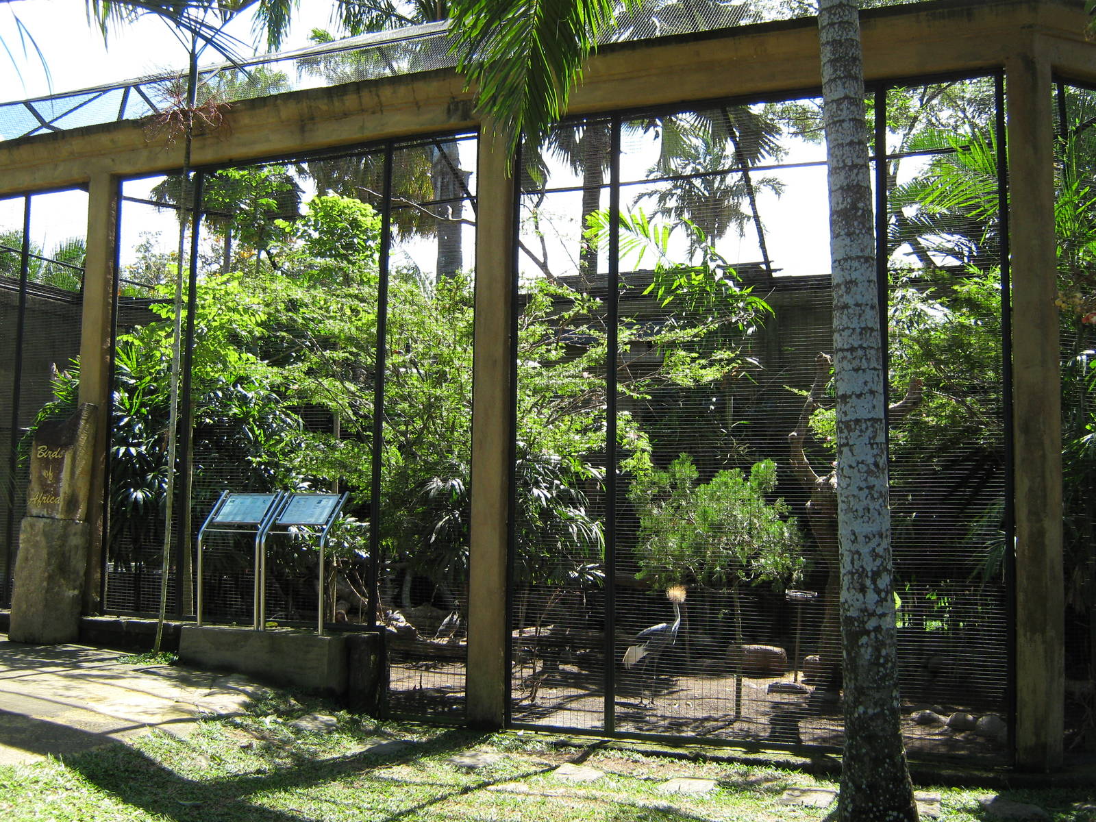 African aviary