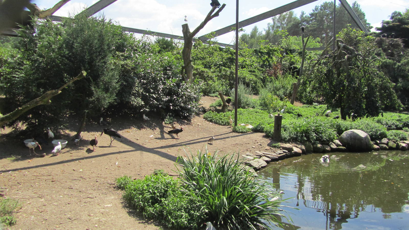 African bird aviary