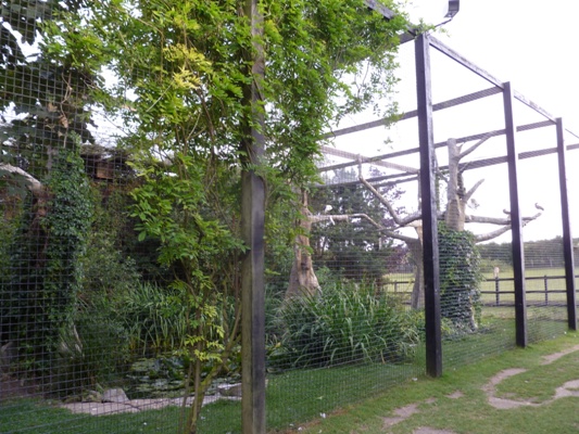 African bird exhibit 1