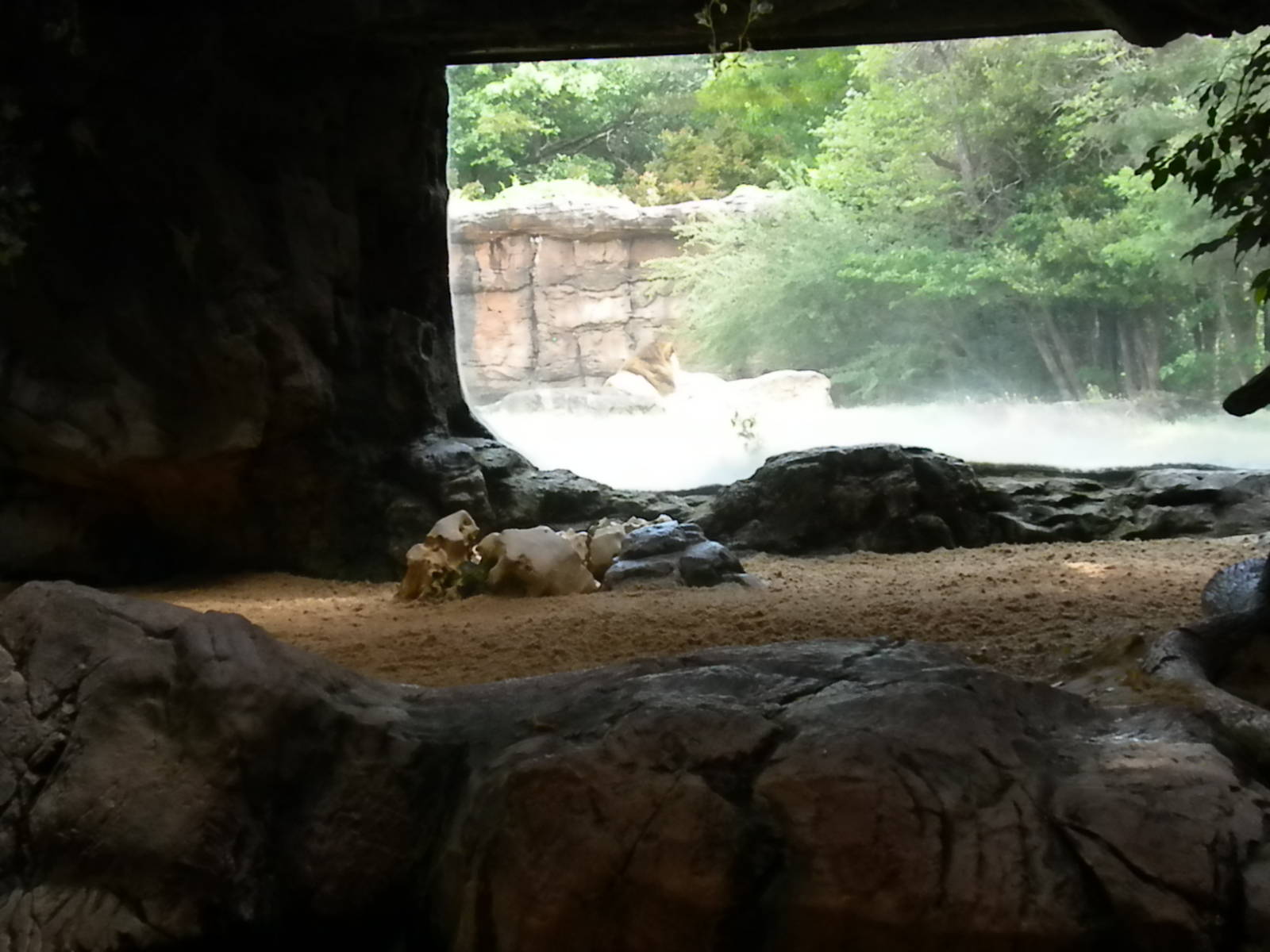 African bird/fish/reptile house