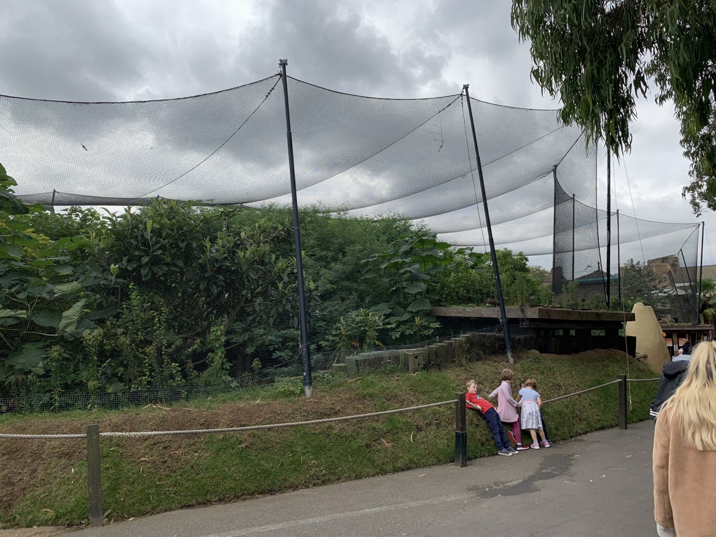 African Bird Walkthrough Aviary at London Zoo (2019)