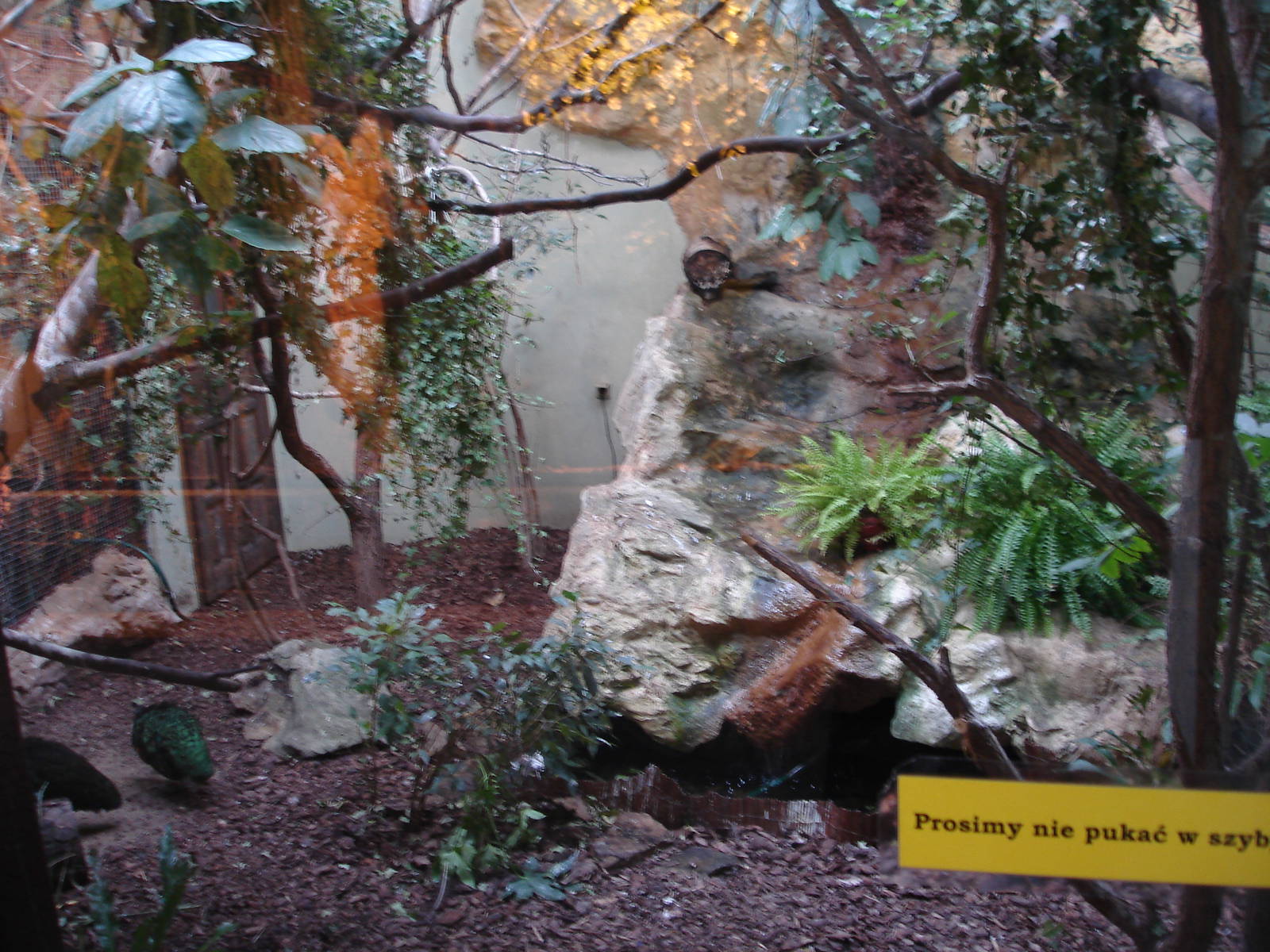 African birds aviary