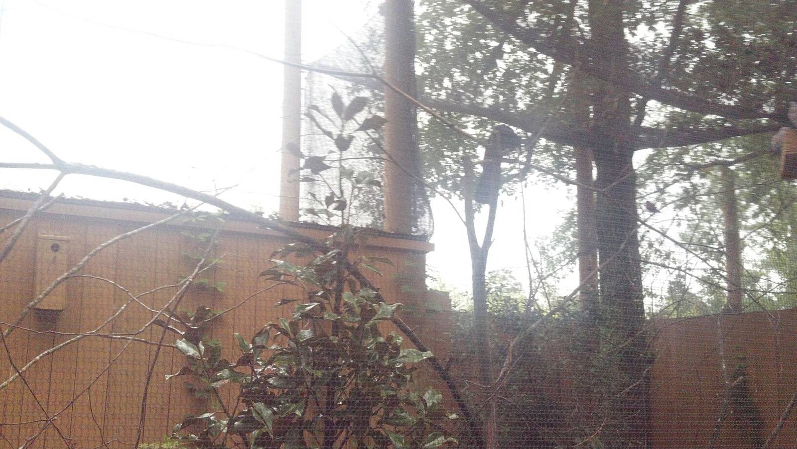 African Birds Aviary