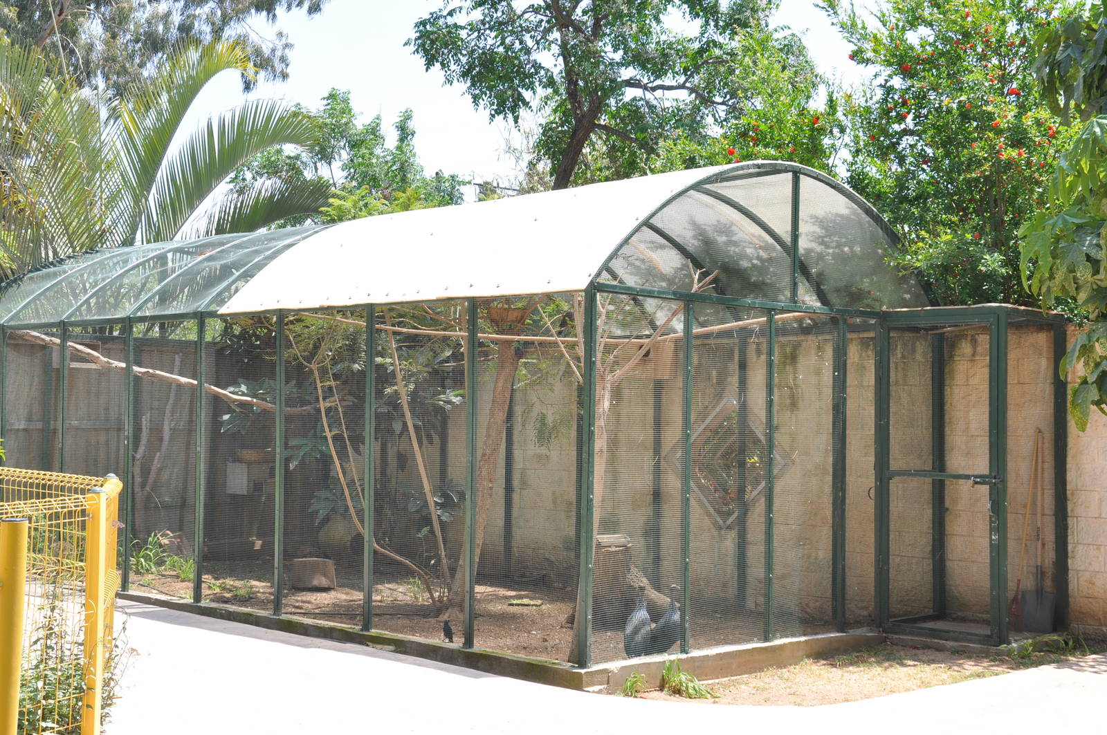 African birds aviary