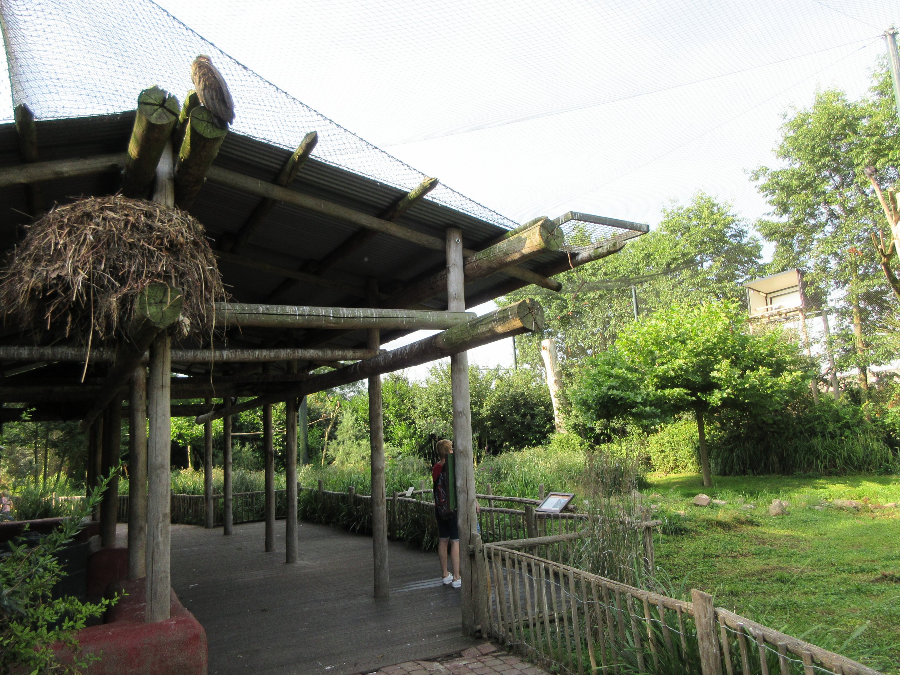 African Birds Aviary