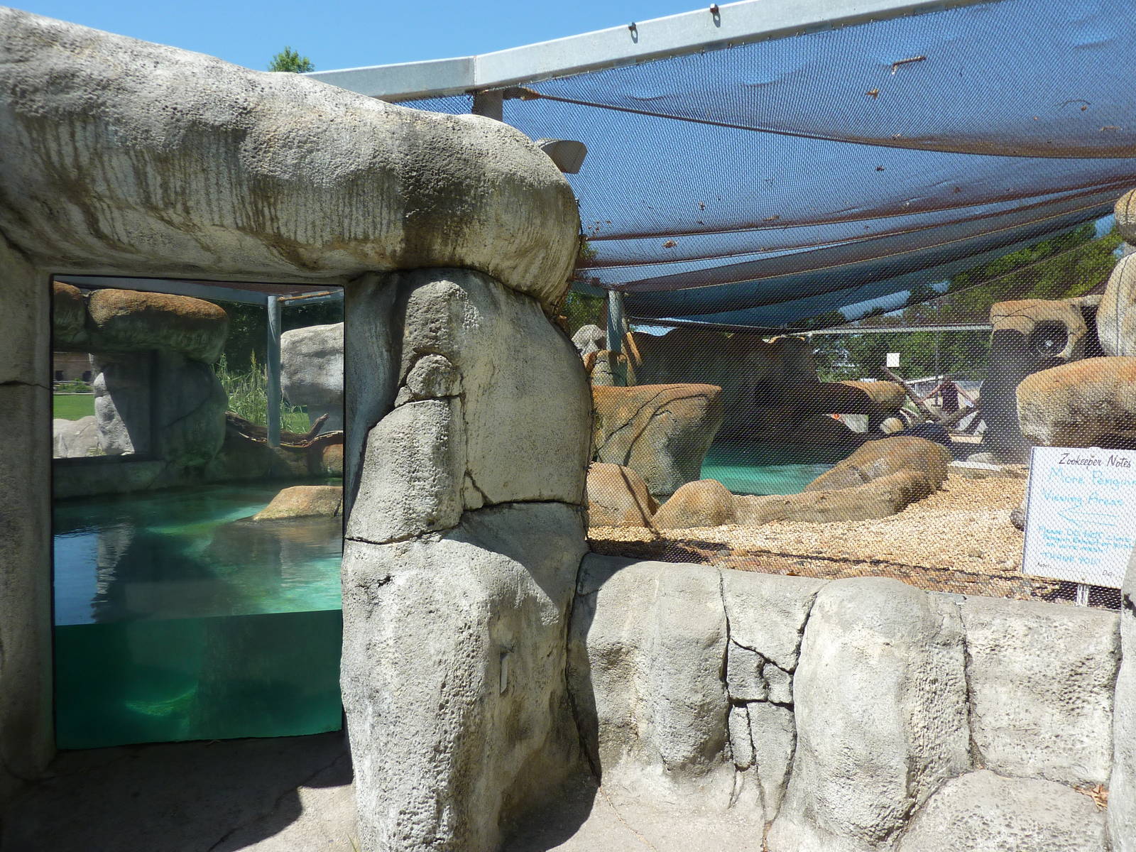 African Black-Footed Penguin Exhibit