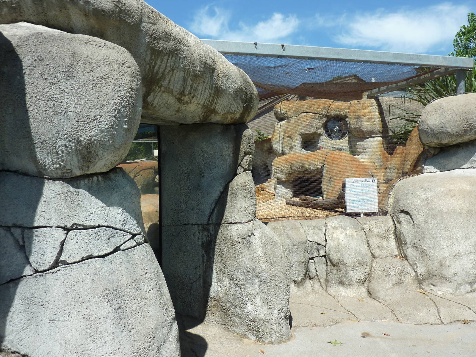 African Black-Footed Penguin Exhibit