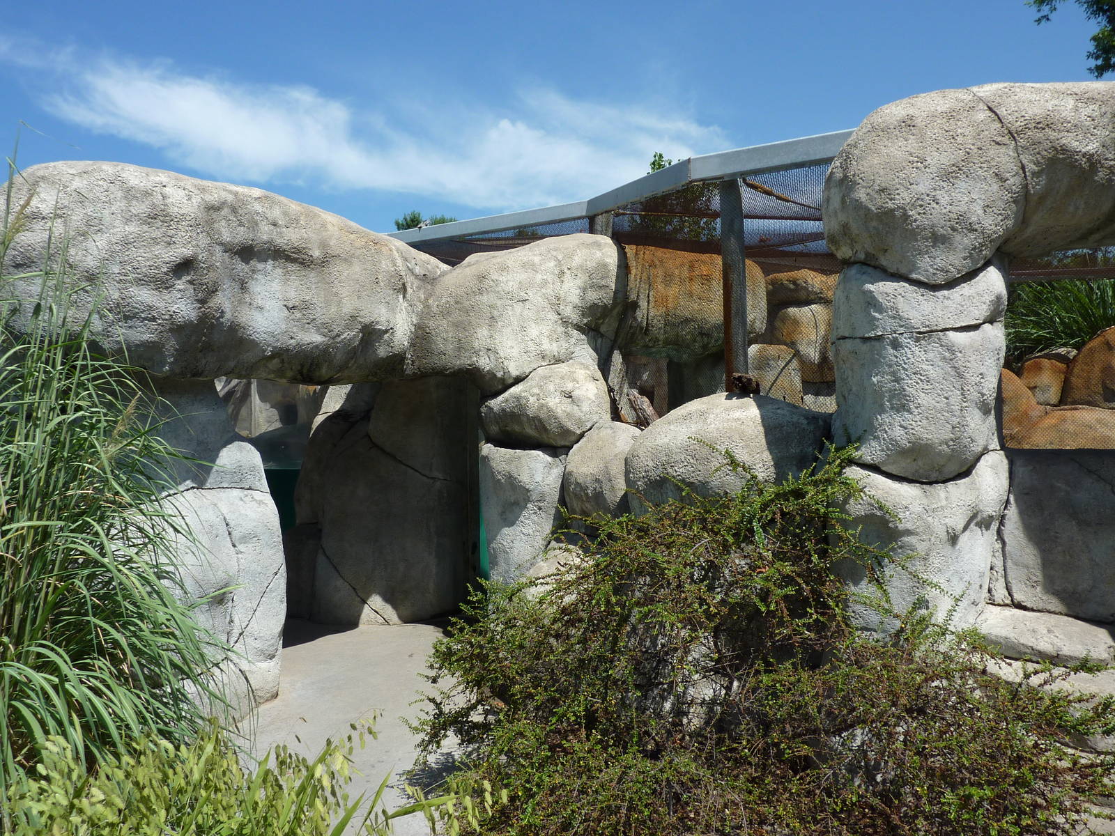 African Black-Footed Penguin Exhibit