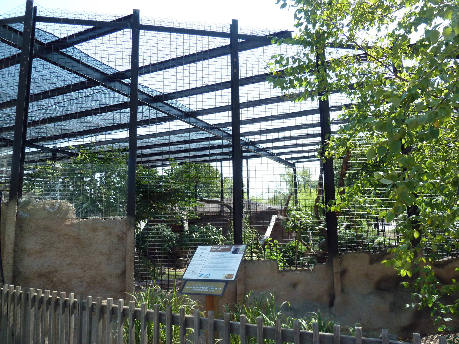 African Black Leopard Exhibit