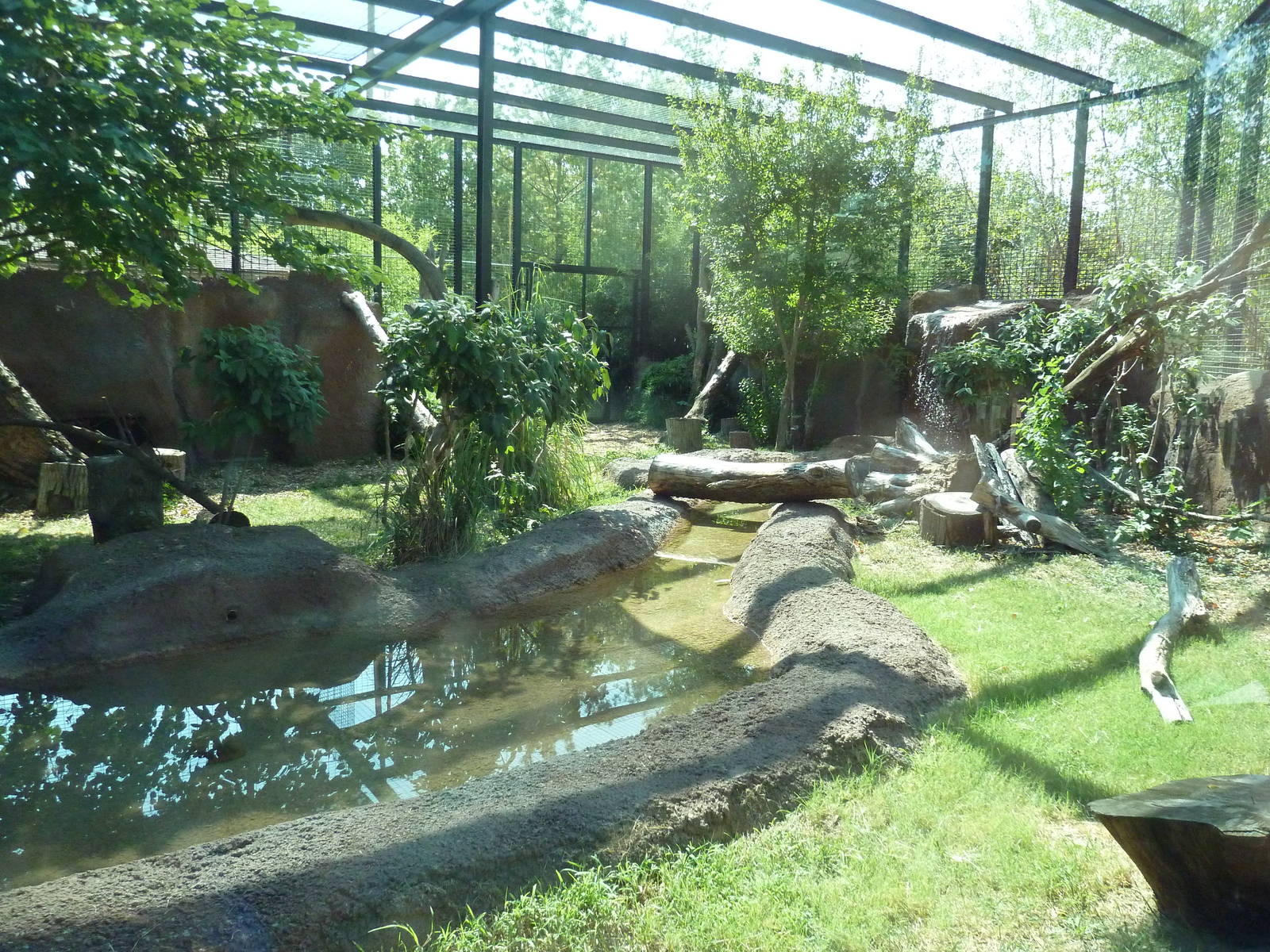 African Black Leopard Exhibit