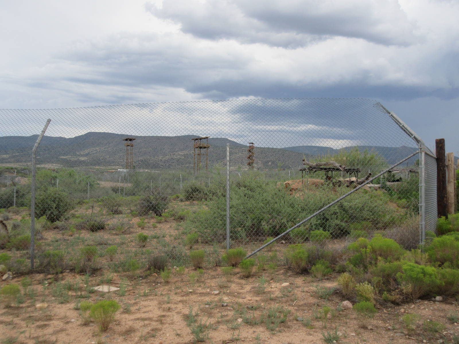 African Black Leopard Exhibit