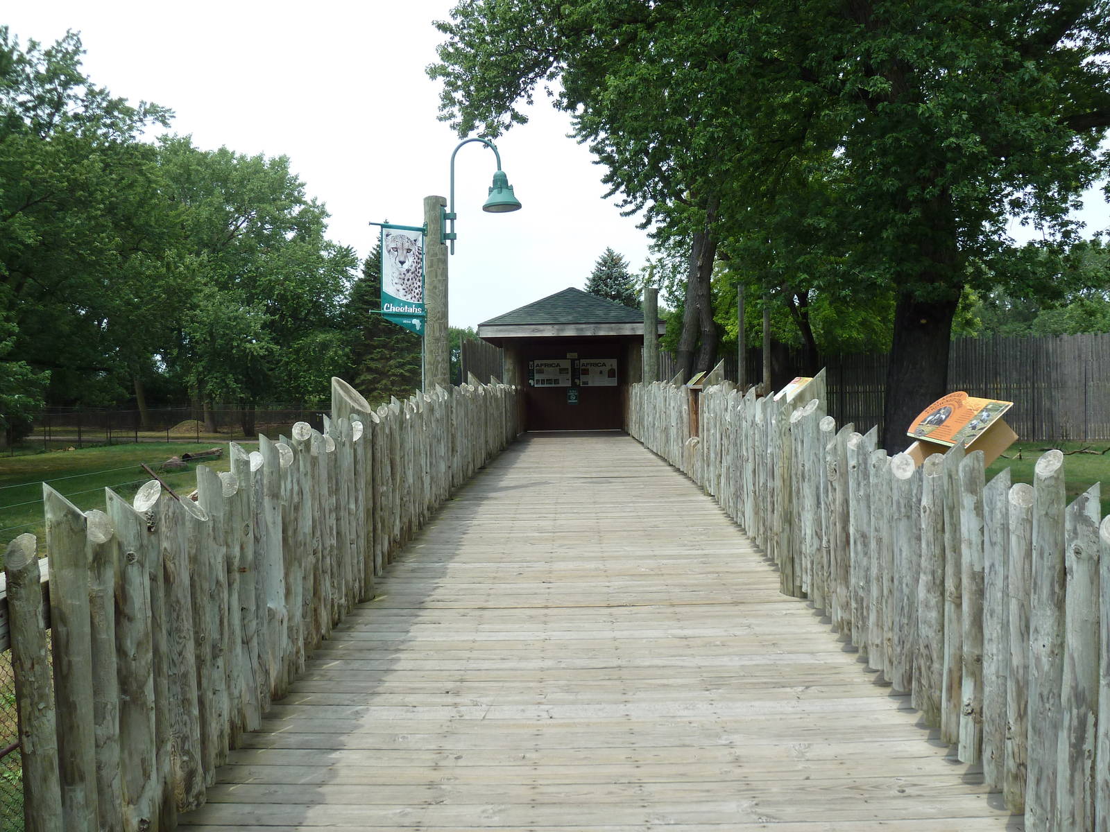 African Boardwalk