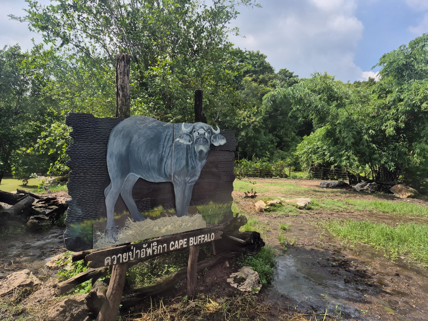 African Buffalo sign