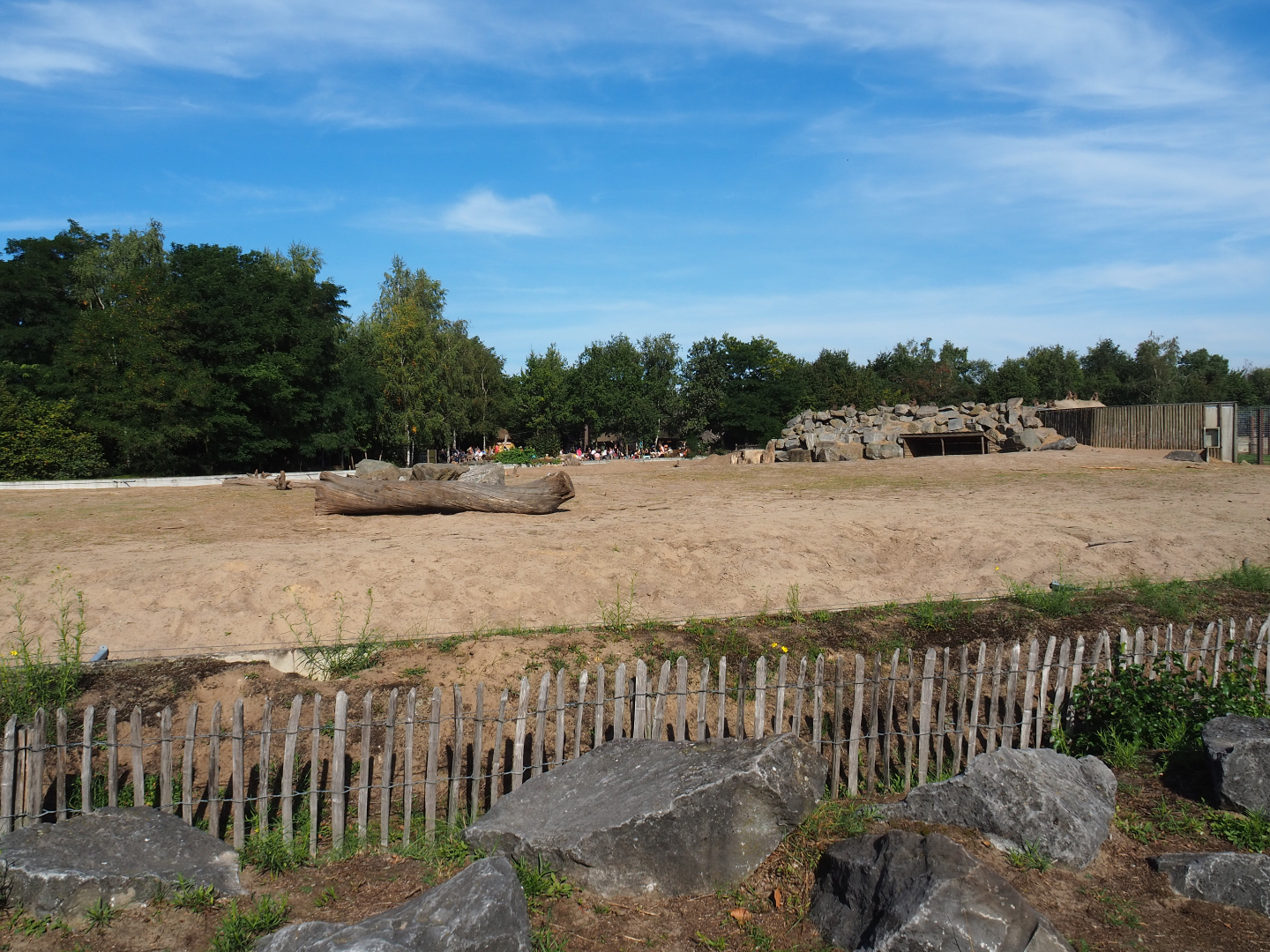 African bush elephant and Hamadryas baboon exhibit, 2019-09-15