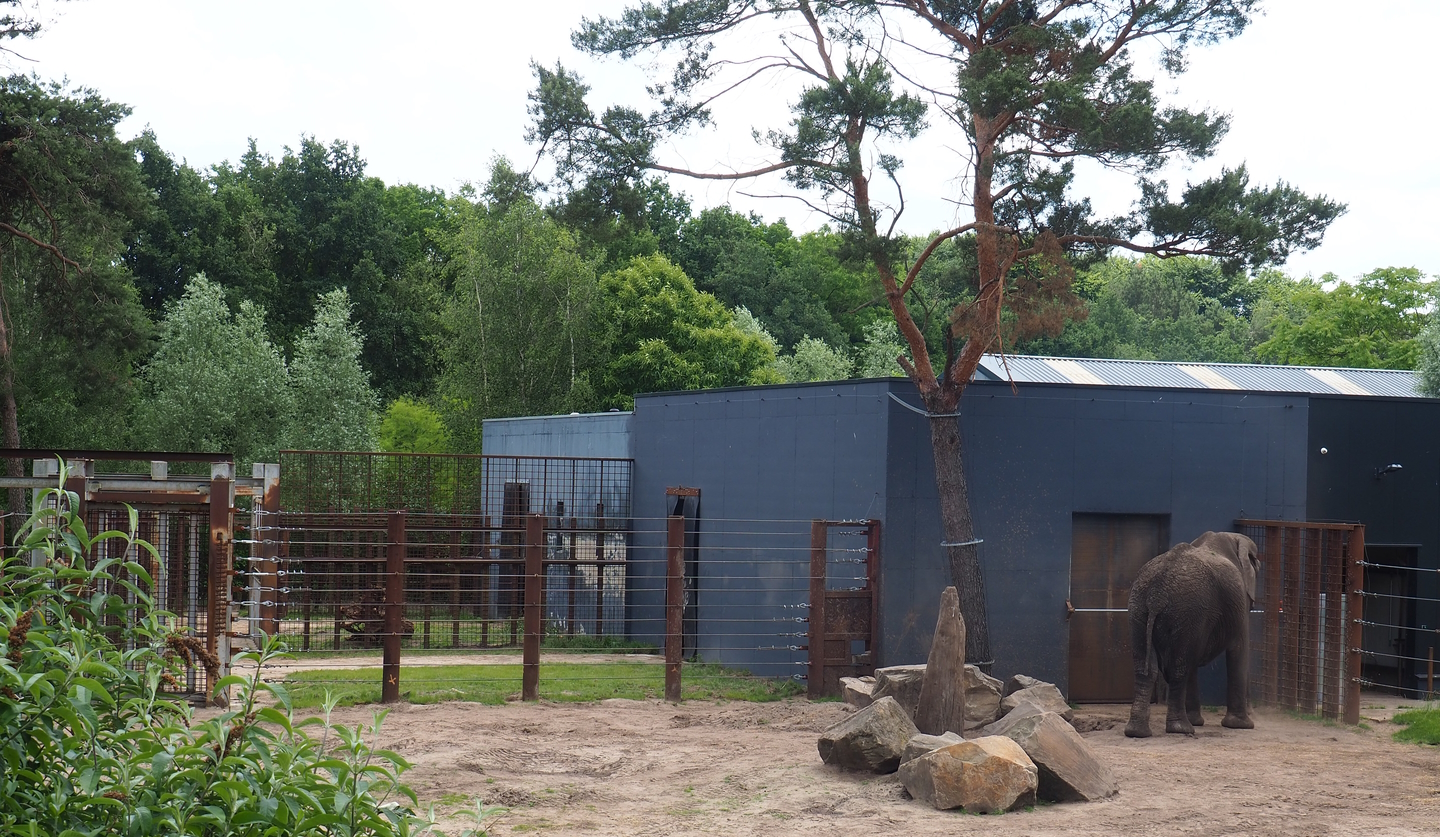African bush elephant bull barn and separation paddock, 2022-06-12
