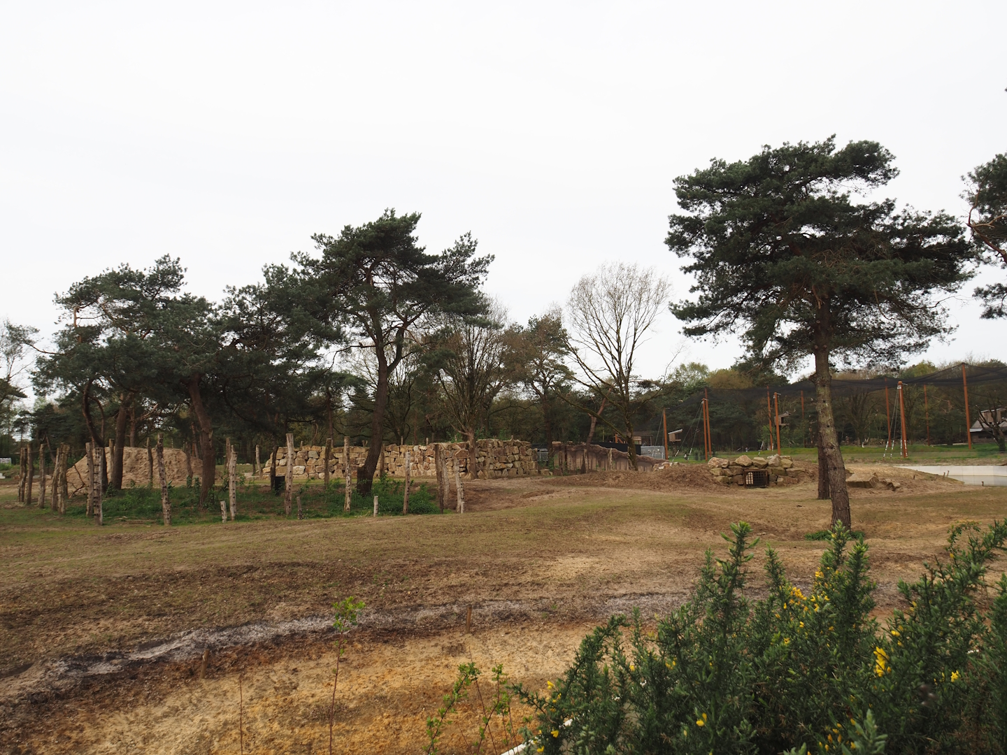 African bush elephant, Defassa waterbuck and Nile lechwe valley, 2024-04-06