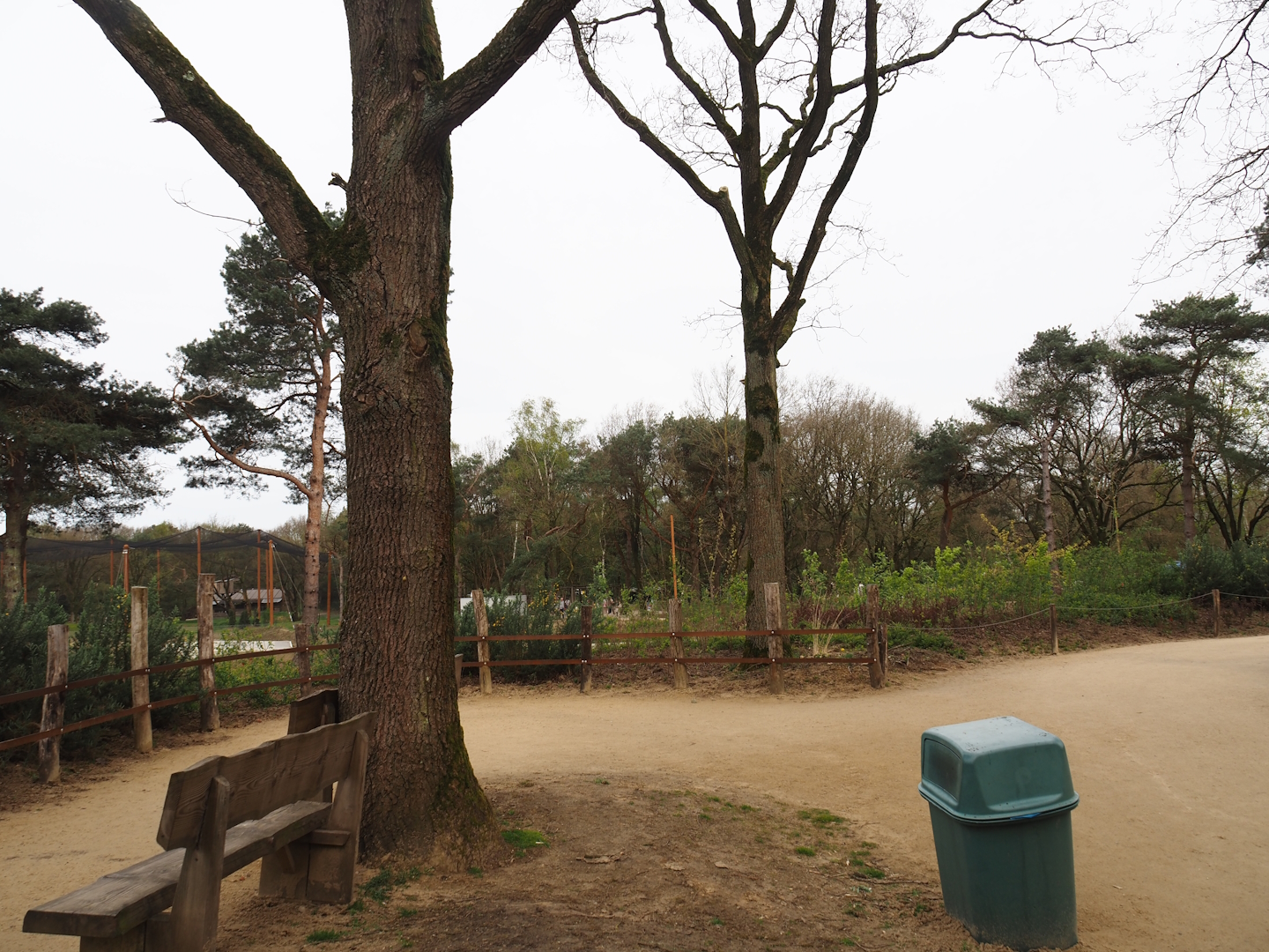 African bush elephant, Defassa waterbuck and Nile lechwe valley viewing area, 2024-04-06
