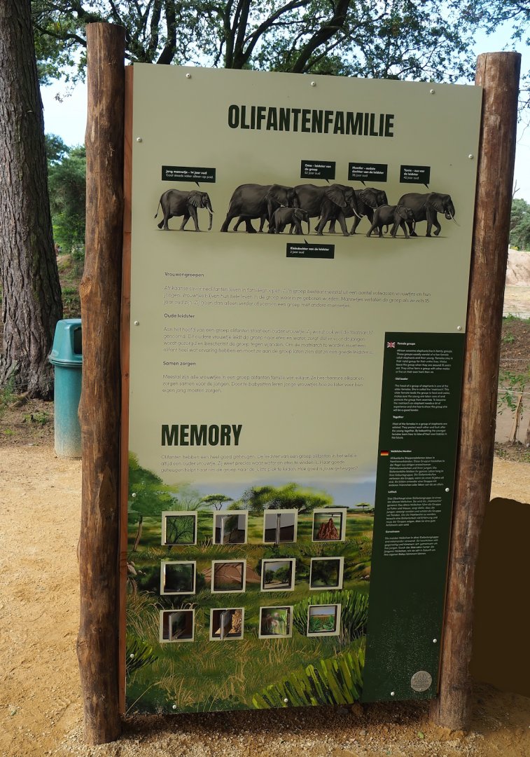 African bush elephant educational signage, 2023-08-15