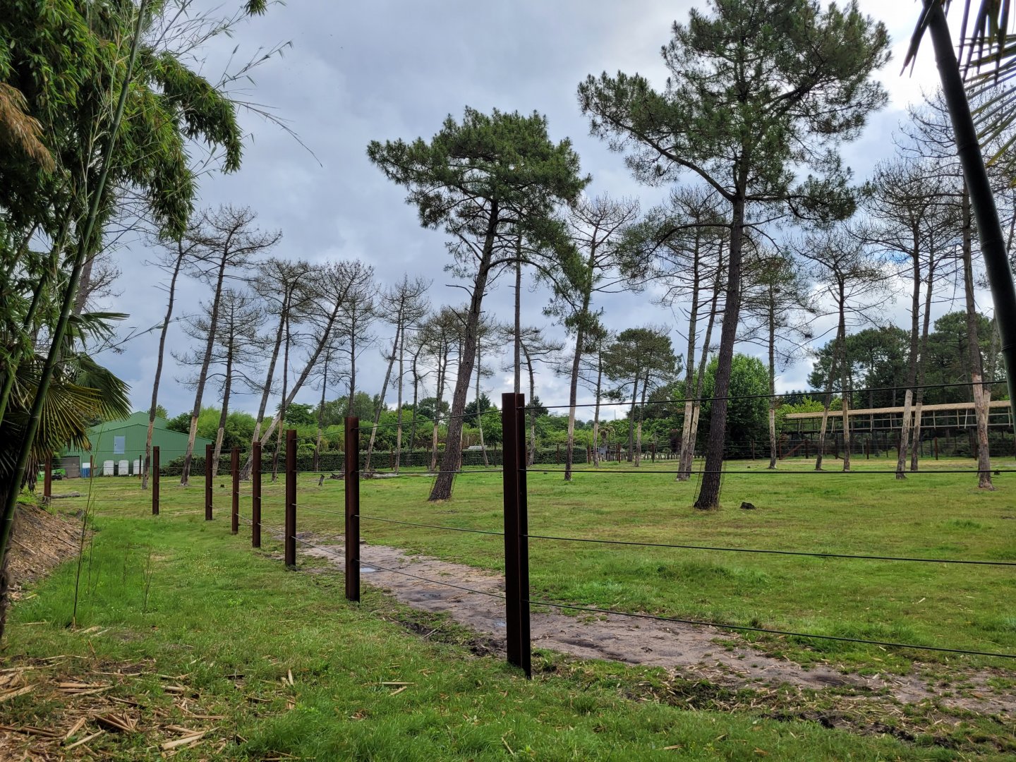 African bush elephant exhibit -Zoo du bassin d'Arcachon (2024)