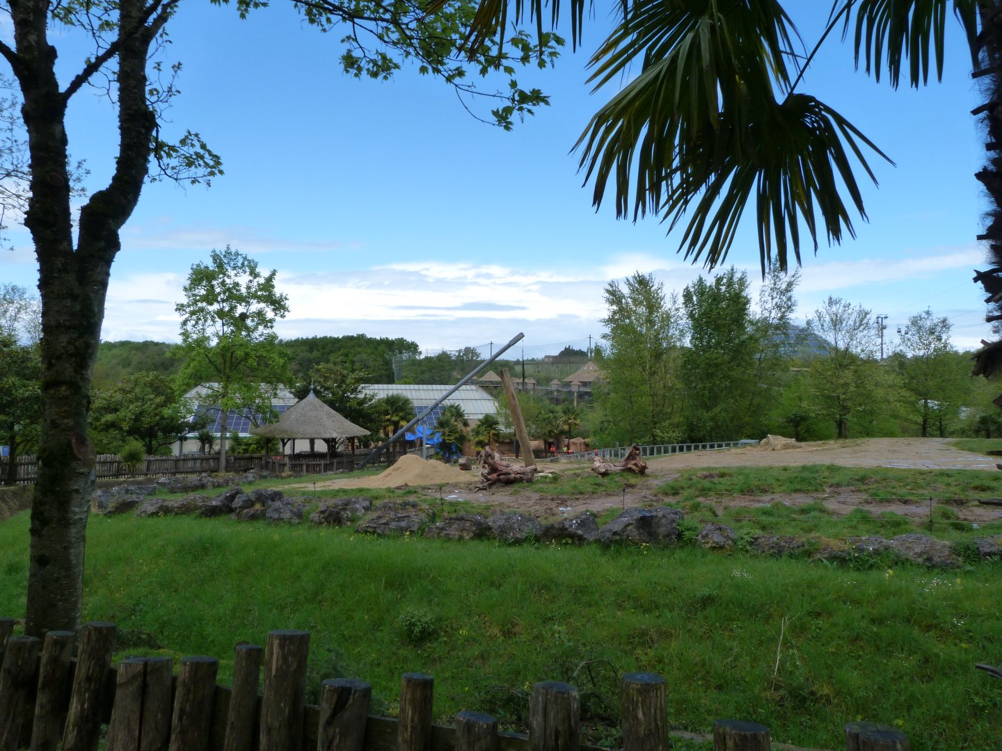 African bush elephant exhibit -ZooParc de Beauval (2025)