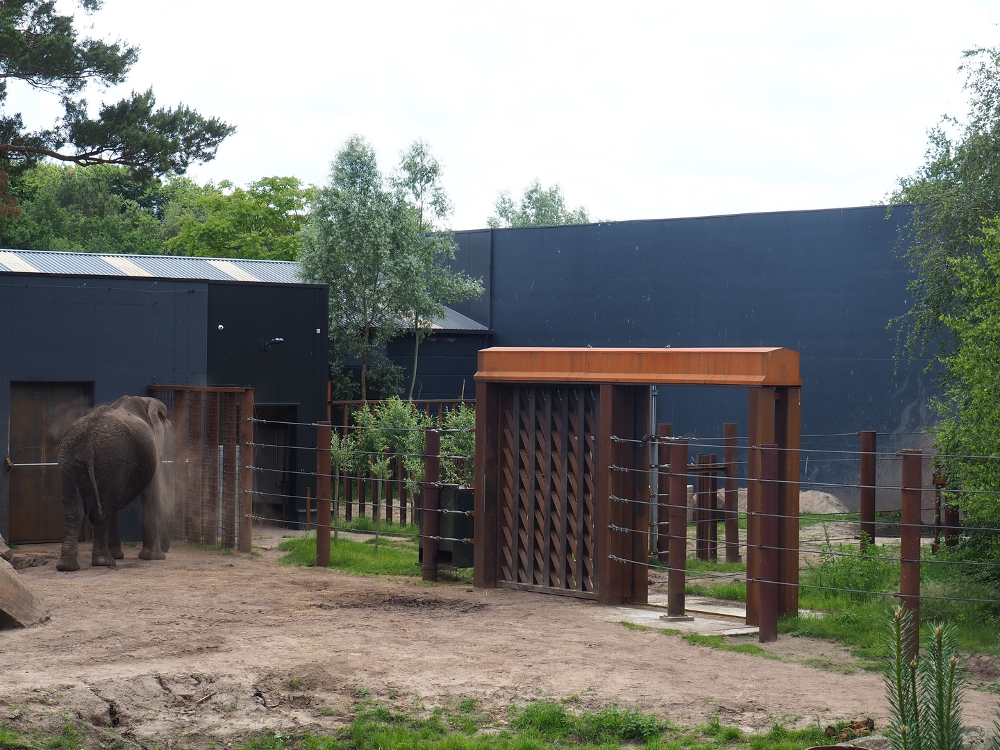 African bush elephant gate and separation paddock, 2022-06-12