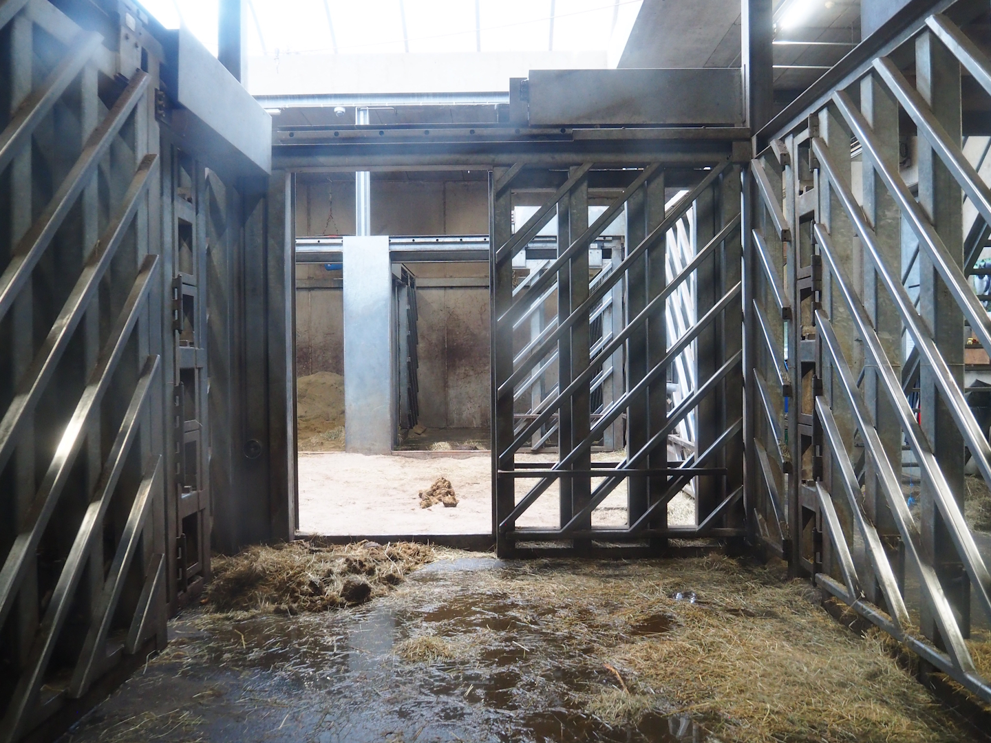 African bush elephant indoor housing, 2023-08-17