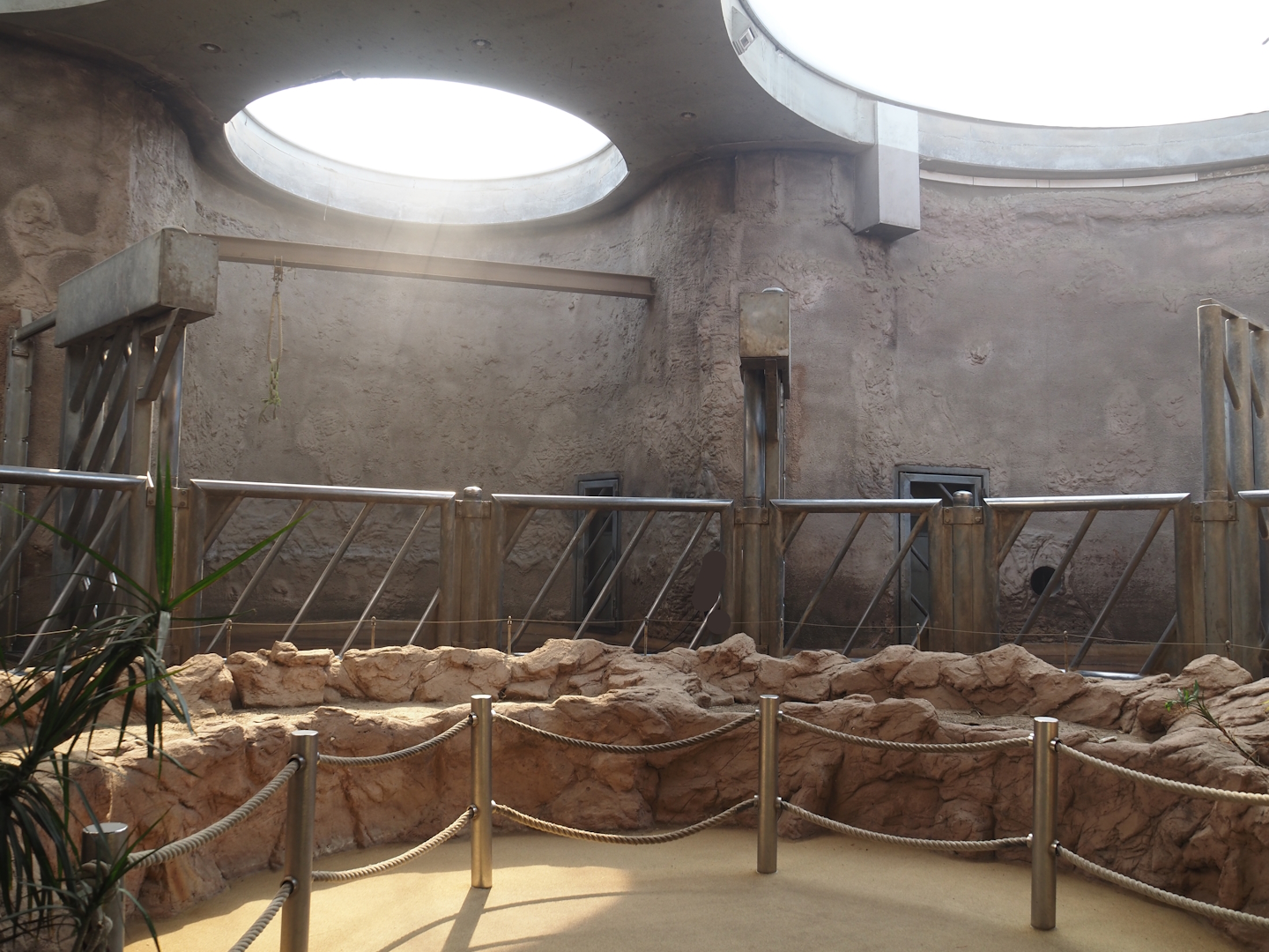 African bush elephant indoor housing, 2024-06-08