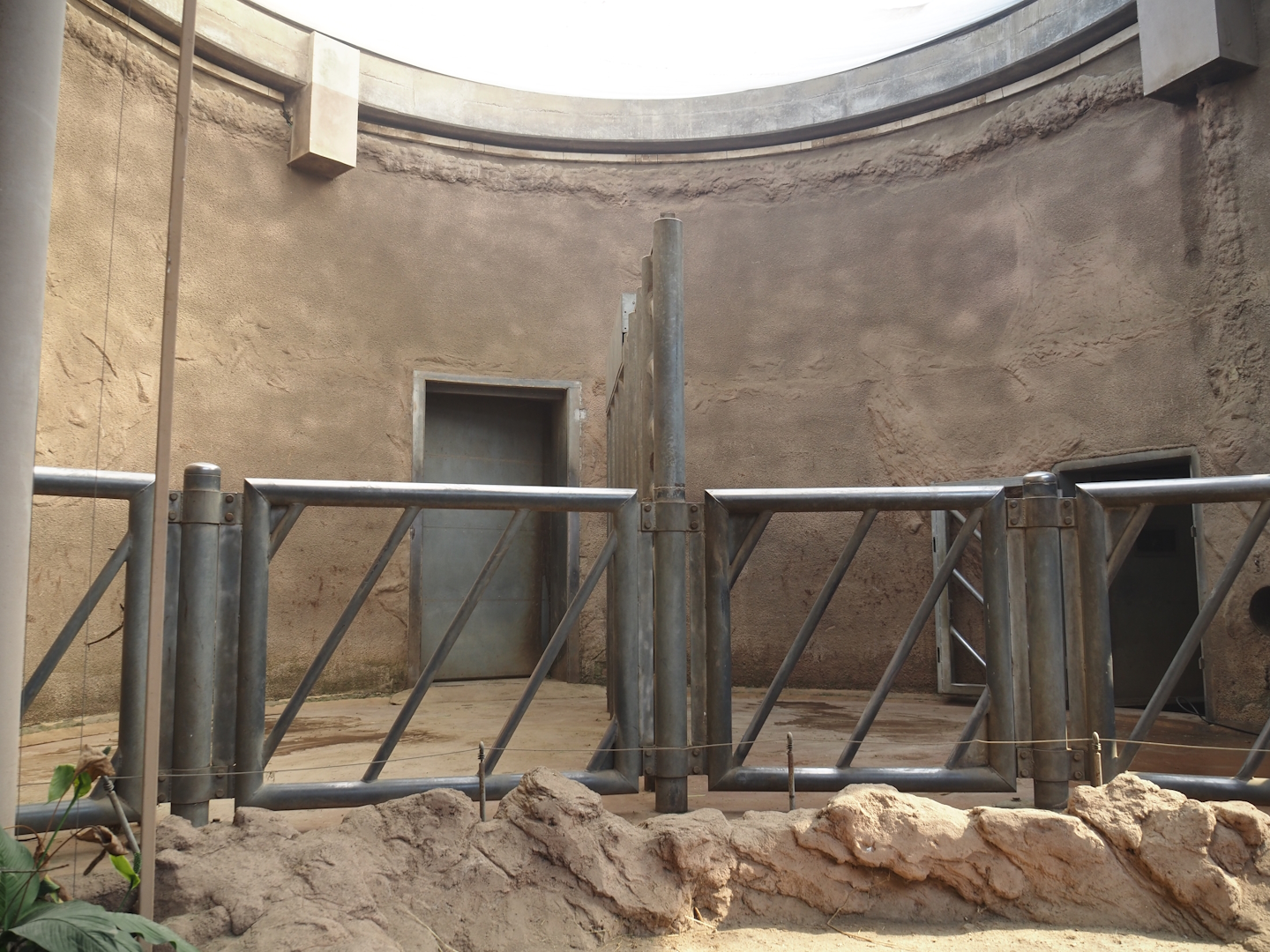 African bush elephant indoor housing, 2024-06-08