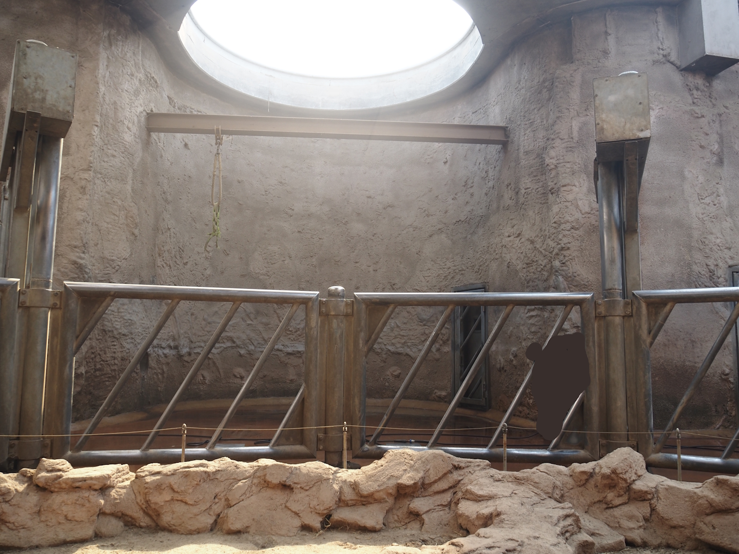 African bush elephant indoor housing, 2024-06-08