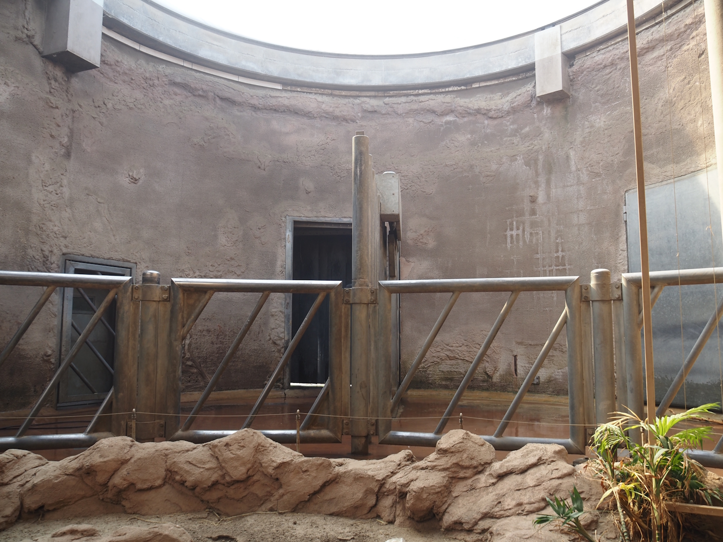 African bush elephant indoor housing, 2024-06-08