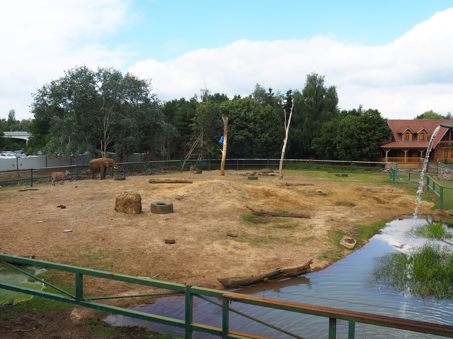 African bush elephant paddock, 2020-06-20