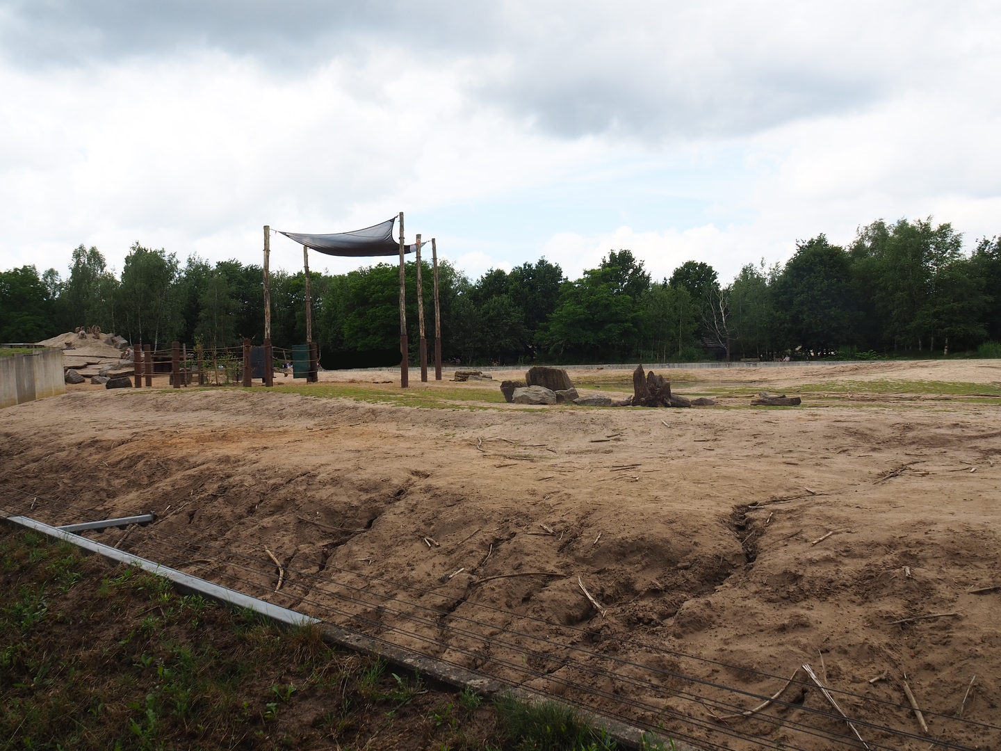 African bush elephant paddock, 2022-06-12