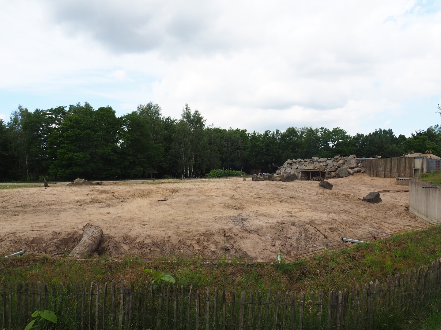 African bush elephant paddock and Hamadryas baboon rock, 2022-06-12
