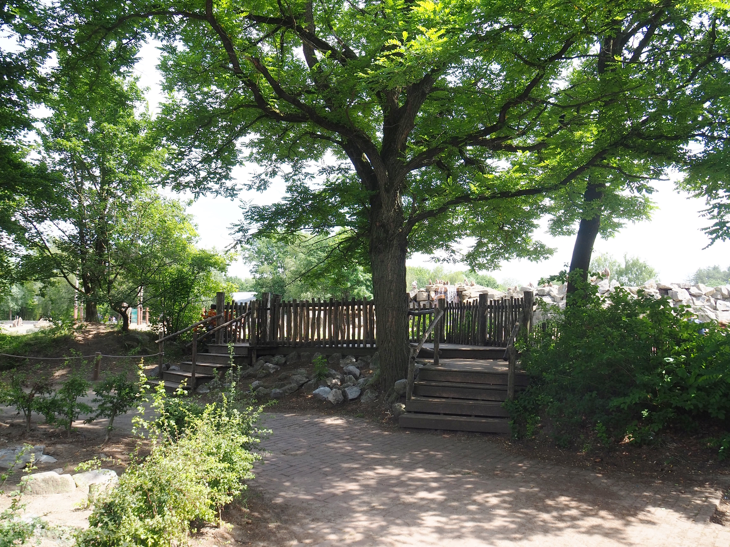 African bush elephant paddock and Hamadryas baboon rock viewing area, 2022-06-12