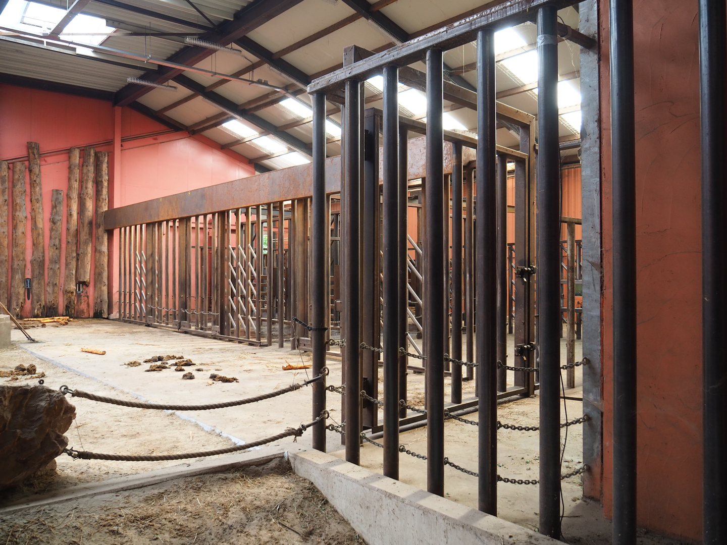 African bush elephant separation and training/treatment pens, 2019-09-15